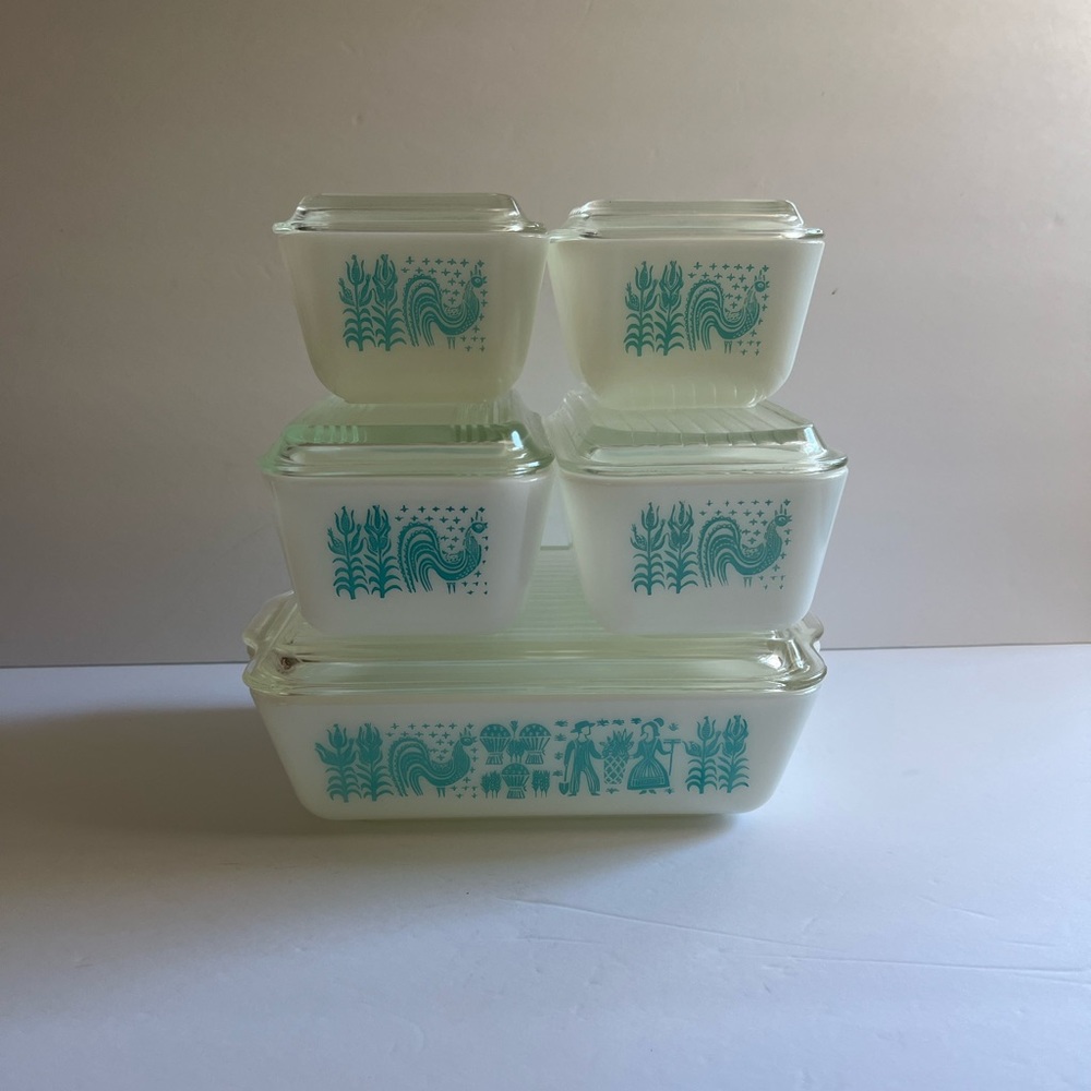 Pyrex full refrigerator set. Turquoise butterprint